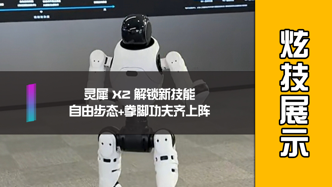 灵犀 X2 解锁新技能，自由步态+拳脚功夫齐上阵
