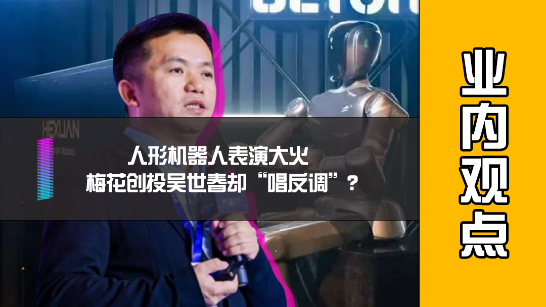 人形机器人表演大火，梅花创投吴世春却“唱反调”？