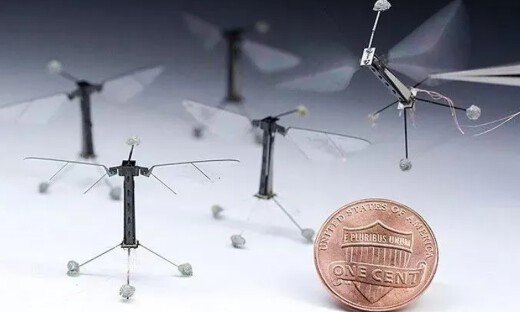 国防科技大学放“大招”：蚊子仿生机器人首次曝光，外网网友“炸锅”