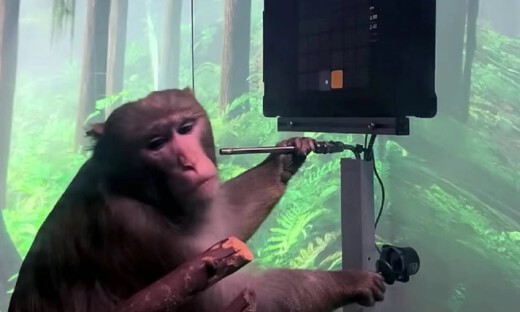 马斯克的Neuralink：让人类思想成为机器的“灵魂”！