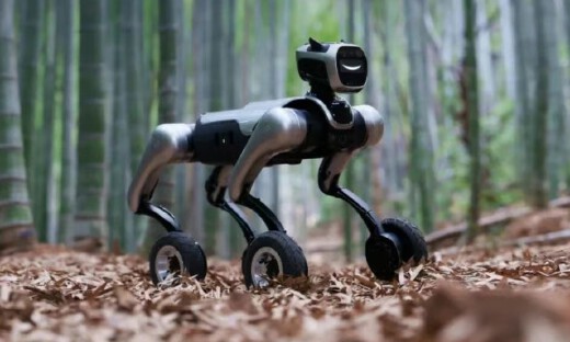 “人”做得好好的，非要做“狗”