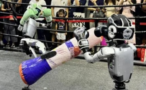 我们为什么喜欢看机器人互殴？