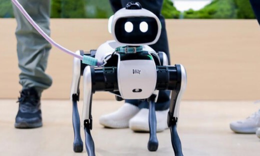 维他动力发布首款智能伴随机器人，将于年底完成产品上市