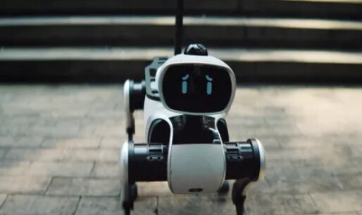 WRC观点：人形机器人五大爆发趋势