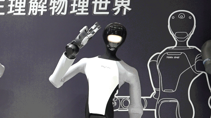 GIF图12-TORA DOUBLE ONE互动.gif