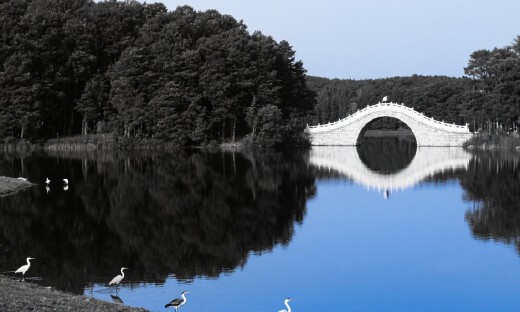 吉林省吉翼具身智能机器人有限公司成立