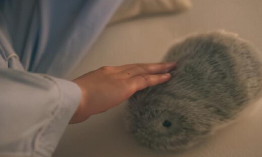 9999元，人形机器人玩偶面世，具身智能版Labubu更香？