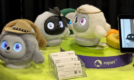 央视释放信号，陪伴机器人或将抢先人形走进千家万户？