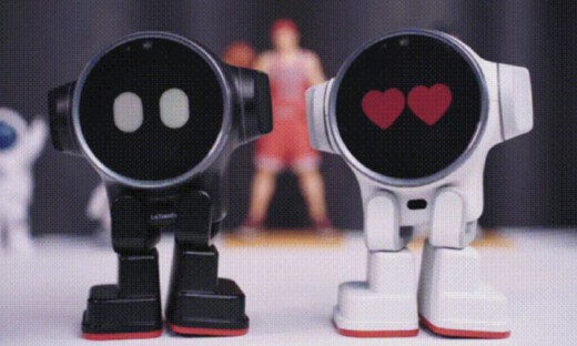 冰火两重天的AI陪伴硬件