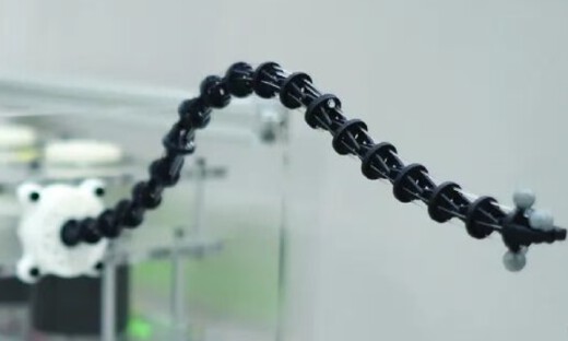 港城大等团队突破连续体机器人控制难题，让柔性臂实现毫米级精准定位！