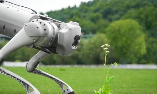 康迪科技新增控股子公司，获得印尼GoTO公司四足机器人首个订单