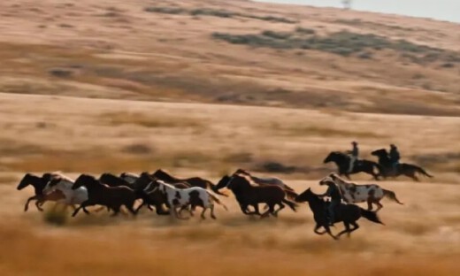 具身智能创业者图鉴：小天才们，做实干派“狼人”