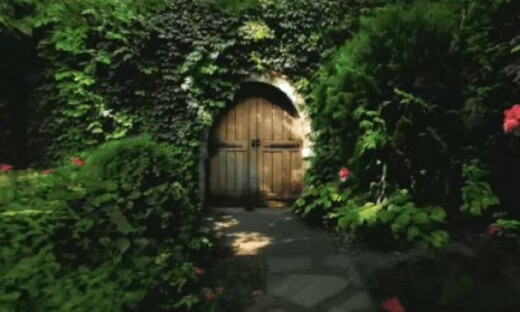 世界模型，一定是人形机器人的终局