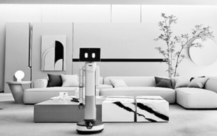 我国首款家庭应用级具身机器人发布