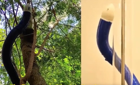 让藤蔓机器人乖乖“听话”！MIT林肯实验室×圣母大学破解操纵难题！