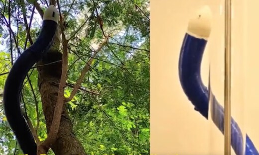 让藤蔓机器人乖乖“听话”!MIT林肯实验室×圣母大学破解操纵难题!