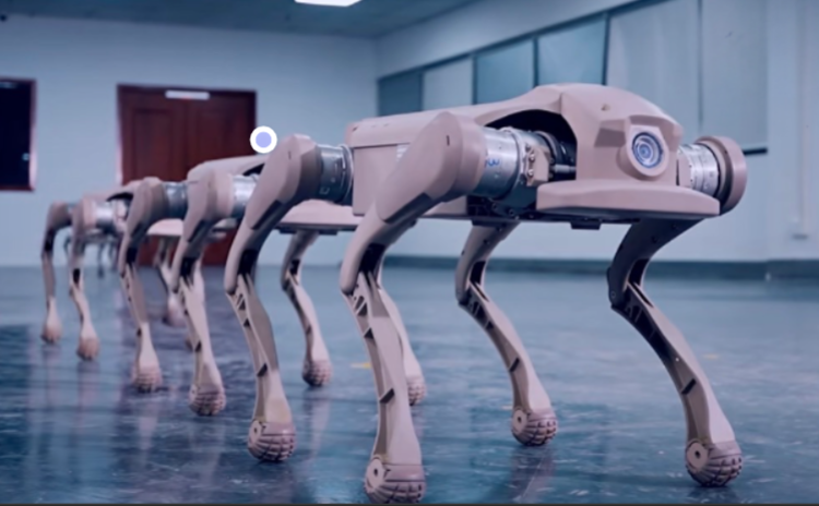 专访智身科技刘宇龙：错位竞争背后的产品逻辑