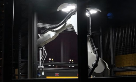 这次双十一，你吃到了具身智能的红利