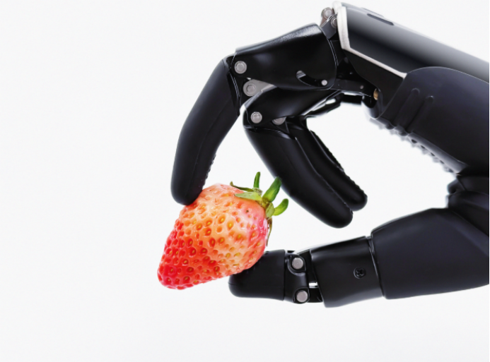 1764294291857549.png image.png