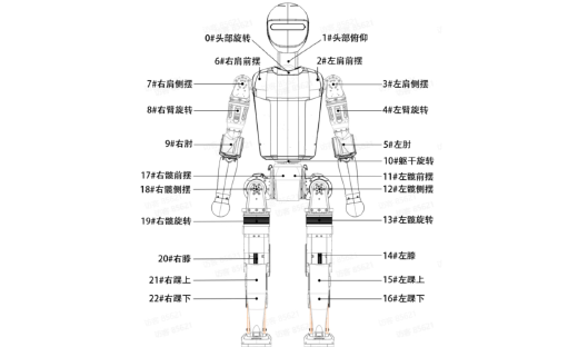 从技术输出到生态构建：解码人形机器人公司加速进化的成长逻辑