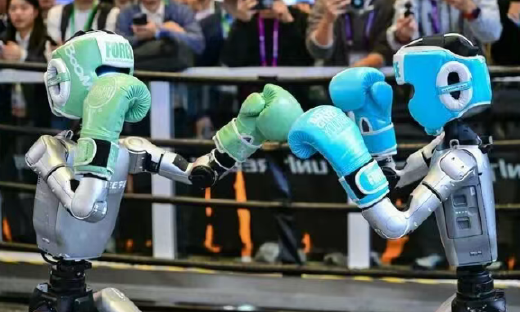 人形机器人：一张算不过来的经济账单