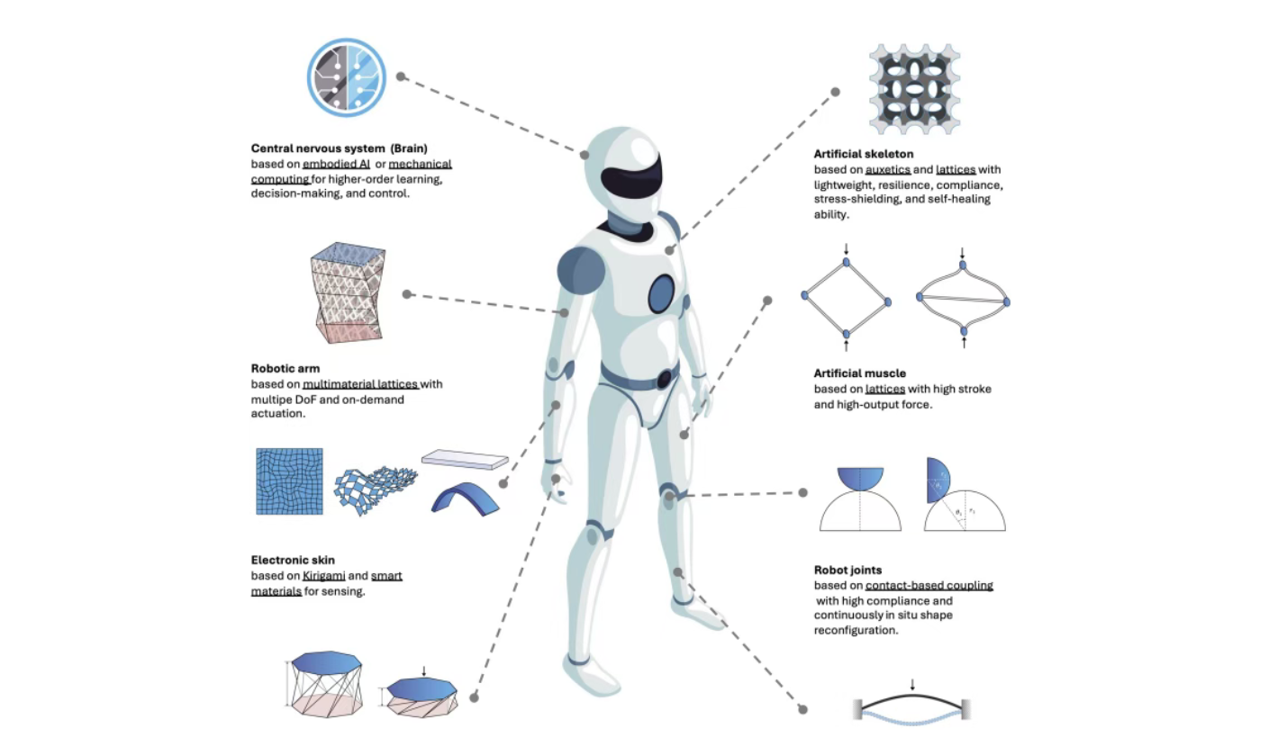 绕过大脑思考，超材料机赋予机器人身体本能