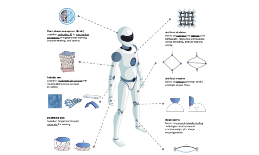 绕过大脑思考，超材料机赋予机器人身体本能