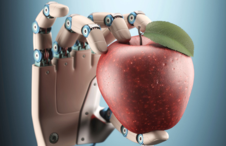 硅基生命的“成年礼”：上海具身智能的入世大考与万亿生态突围