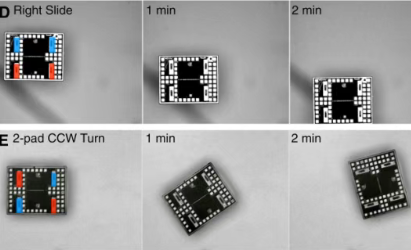 破壁微米！首个细胞级尺寸、会思考的机器人诞生| Science Robotics