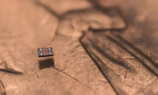 全球最小全自主微型机器人诞生，能独立感知并响应环境，成本仅1美分！