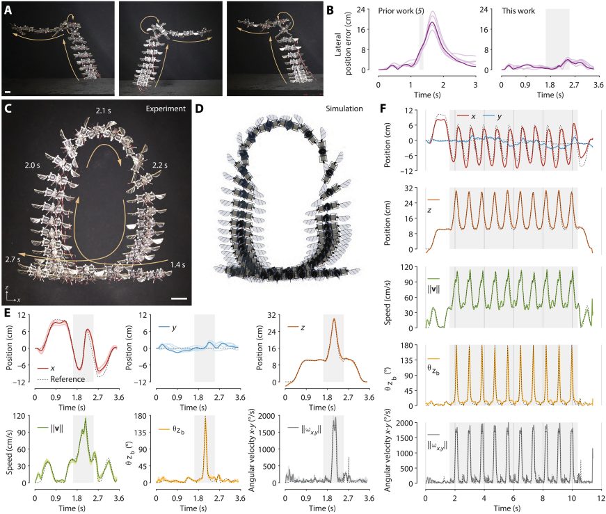 1764914831668292.png 245ca0ea173c75f6daecf04b4c9d0e11.png