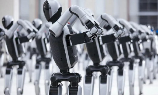 具身智能@2025：「人机共生」前夜