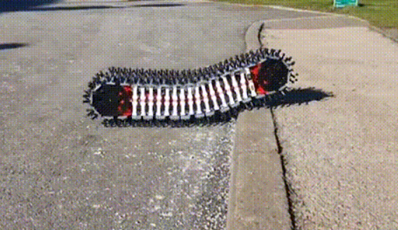 豪猪+千足虫合体！意大利团队打造“柔骨”机器人，3D打印一体成型，体重暴降600g