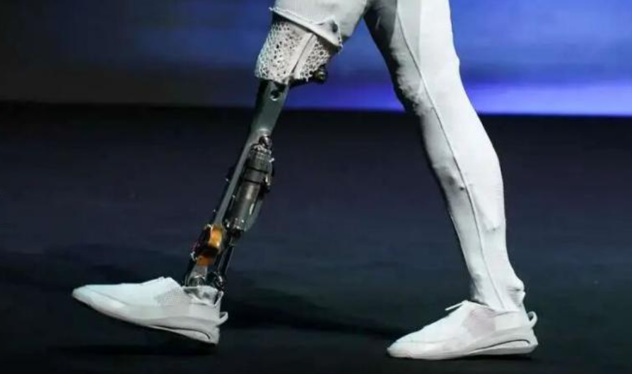 机器人赛道挤满了车圈大佬