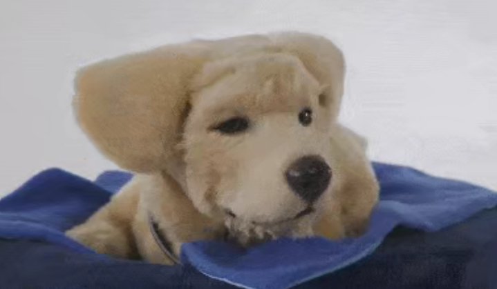 比人形更快进入家庭？具身智能宠物机器人迎爆发！