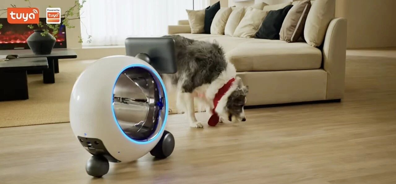 1769765236341421.jpg eb6e16446f85da29b7cf2d05f5f7e539.jpg