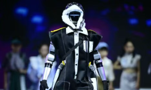 从“万元日租”到“千元肉搏”： 人形机器人租赁上演价格与生存战