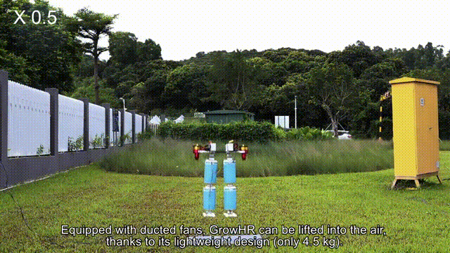 1770001518365940.jpg 2319bc77fa74b943b51d50225d8aa978.jpg