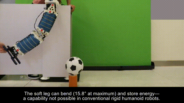 1770001529968111.jpg a78009224bc7e9b057b14e56a8fecf01.jpg