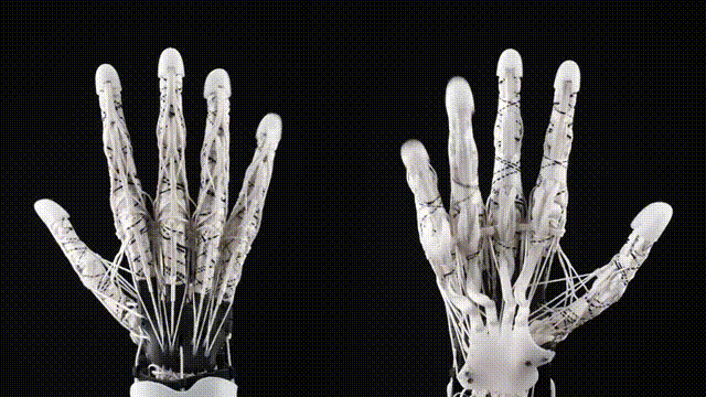 OpenAI巨额投资，这家企业将打造机器人实体