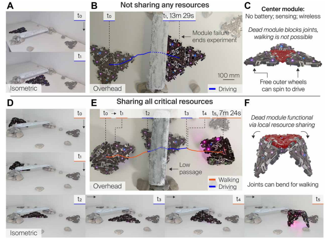 1770958054130316.png a2533b71dc044f7aa14ef761bf20b55b.png