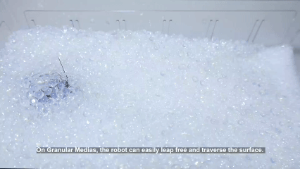 1771919111697684.jpg 1d1cf7cecc4e67b54741a81d383530c7.jpg