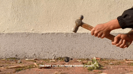 1771919116770474.jpg 74c6fc2b23f770f40c0570d42e1fc3dc.jpg