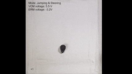 1771919136697781.jpg f86ab0d248f36e79a7197bc4a48df355.jpg