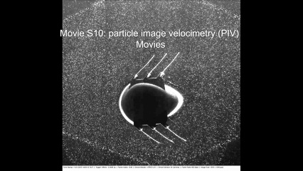 1771919179995399.jpg 9ec0cde763f8b4468ab6f3f13a370ce6.jpg