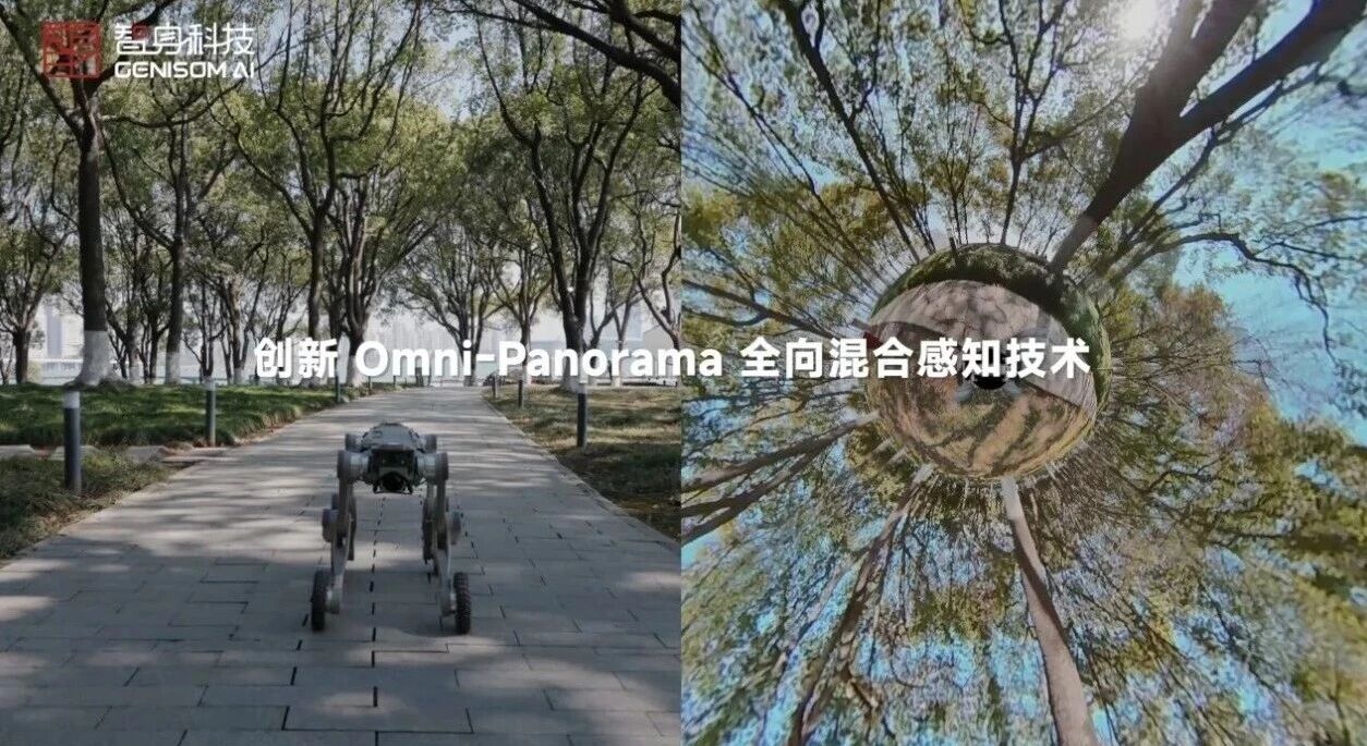 1772100046327170.jpg 3482ddf5e78baeae9dc8bd2d2c7f6e84.jpg