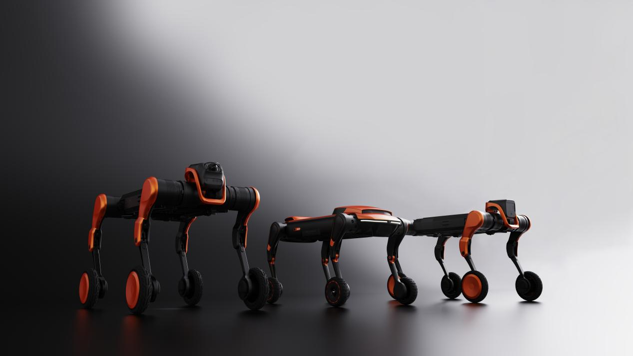 30天融资超亿美元 杭城第四狗连获三轮投资