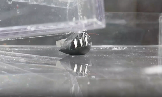 Science子刊重磅！无腿机器人能跳能游还能负重40倍体重，彻底颠覆两栖设计