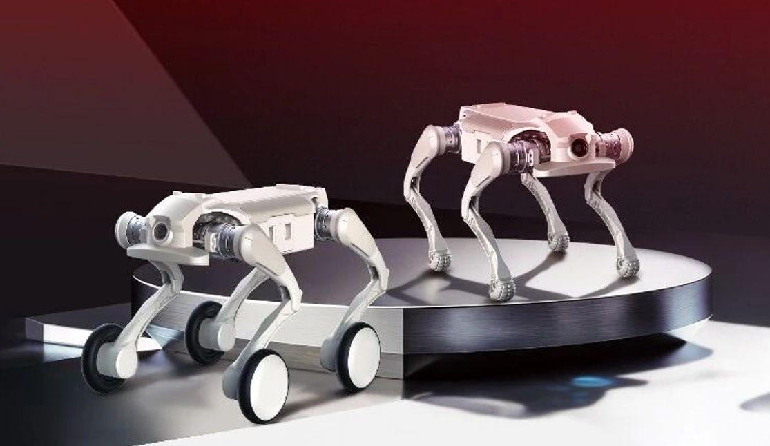 全球首个L2+智驾级具身智能机器人，有何值得期待的?