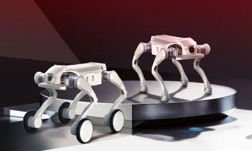 全球首个L2+智驾级具身智能机器人，有何值得期待的?
